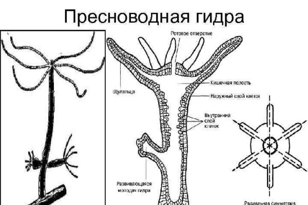 Ссылка на даркнет в тор