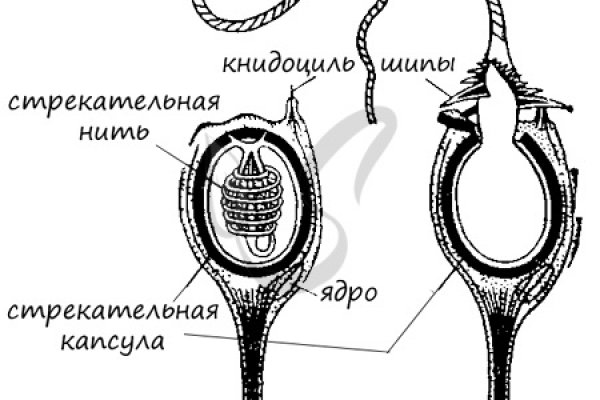 Кракен ссылка настоящая