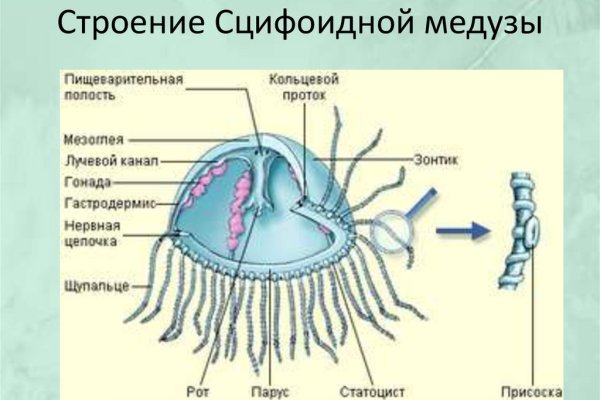 Kraken ссылка tg